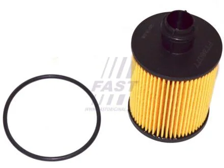 Фільтр масляний 1.3MJET 16V, 1.6MJET 16V, 1.9MJET 16V, 2.0MJET 16V, 1.9MJET 8V Fiat Doblo 09-23, Fiat Fiorino 07-, Opel Corsa D 06-15 FAST FT38077