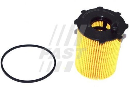 Фільтр масляний FIAT 500 07-н.в., PANDA 12-н.в 0.9i FAST FT38083