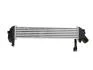 Радіатор інтеркулера 1.5DCI 8V RENAULT Kangoo 97-07, NISSAN Kubistar 03-08 FAST FT55591 (фото 1)