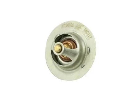 Термостат Citroen/Peugeot 88C 1.0-1.6 87- FAST FT58022