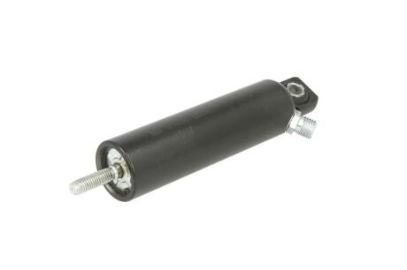 Пневматичний циліндр для гальмівного щитка двигуна FEBI BILSTEIN 01036
