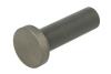 Штовхач клапану / ТОЛКАТЕЛЬ КЛАП. MAN D2538/D2556/D2865/D2866 L75.5*20MM FEBI BILSTEIN 04333 (фото 2)