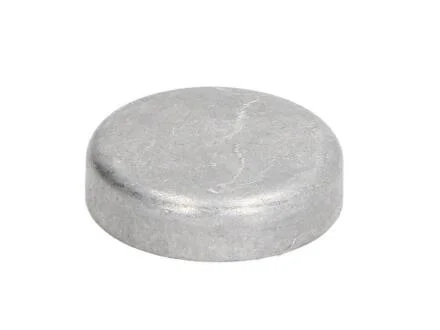 Заглушка блока цилиндров VW (d=36.6mm), 31793, FE31794, OSR1530970, HP101116, FE31793 FEBI BILSTEIN 07284