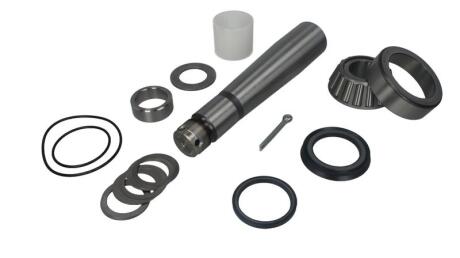 Рем.к-ти поворотного кулака / Р.М.К.ШКВОРНЯ С ПОДШ. VOLVO 36/50*252MM FEBI BILSTEIN 09375