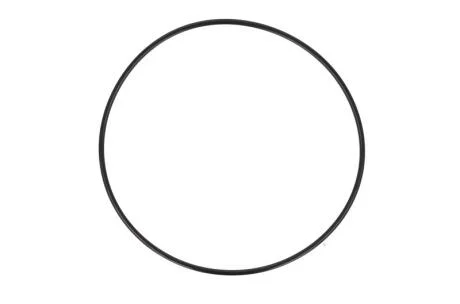 Кільце гумове / УПЛОТНИТЕЛЬНОЕ КОЛЬЦО СТУПИЦЫ 249.2X5.7 SCANIA (392309) FEBI BILSTEIN 09923