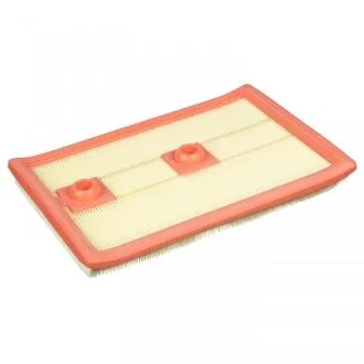 Фільтр повітряний (фільтруючий елемент) AUDI A1, A3, Q2, Q3 BMW I3 (I01) CUPRA FORMENTOR, LEON, LEON SPORTSTOURER SEAT ALHAMBRA, ATECA, IBIZA IV, IBIZA IV SC, IBIZA IV ST 0.65H-Electric 05.10- FEBI BILSTEIN 104798