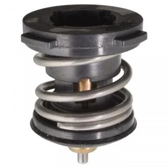 Термостат, охолоджувальна рідина FEBI BILSTEIN 104981