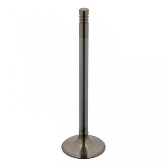 FEBI - Впускний клапан FEBI BILSTEIN 17388