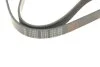 Поліклиновий ремінь FEBI BILSTEIN 177991 (фото 3)