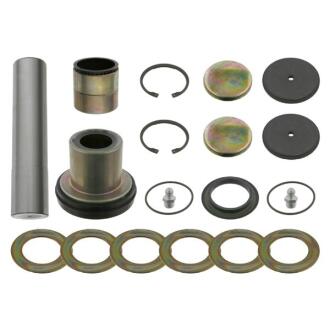 Р/к шкворня MAN F2000,TGA,TGL,TGM,TGS,TGX на сторону (Febi) FEBI BILSTEIN 19000