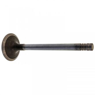 FEBI - Впускний клапан FEBI BILSTEIN 19302