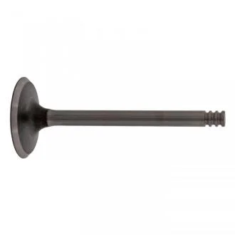 FEBI - Впускний клапан FEBI BILSTEIN 21020