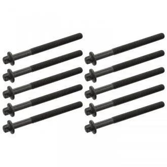 Комплект болтов ГБЦ RENAULT LOGAN/KANGOO/MEGANE 04- FEBI BILSTEIN 24099