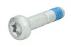Болт (з шліцем типу Torx) 24385