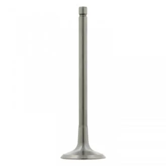 FEBI - Впускний клапан FEBI BILSTEIN 26031