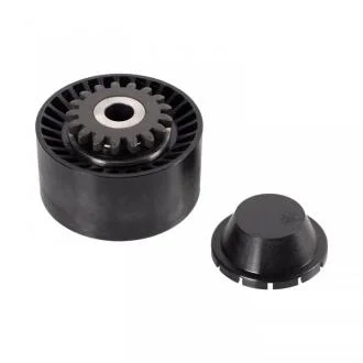 Ролик ГРМ для поліклинового ременю FEBI BILSTEIN 30248