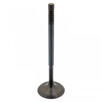 FEBI - Впускний клапан FEBI BILSTEIN 38604