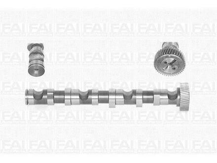 FAI VW вал розподільчий Audi A4/6/8,Passat,Skoda SuperB I 2.5TDI Fischer Automotive One (FA1) C246