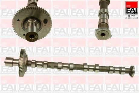 FAI MITSUBISHI Распредвал L200 / TRITON 2.5 DI-D 07-15 Fischer Automotive One (FA1) C308