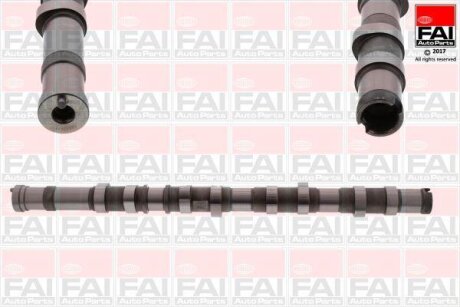 Кулачковий вал Fischer Automotive One (FA1) C371