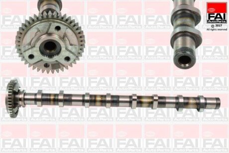 Кулачковий вал Fischer Automotive One (FA1) C381