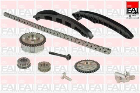 Комплект цели привода распредвала Fischer Automotive One (FA1) TCK211VVTNG