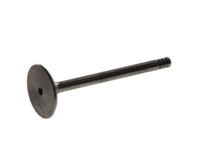 Клапан впускной Audi A4/A6 VW Caddy 2/Golf 3/Golf 4/B-5 1.9TDi FRECCIA 4888/BM