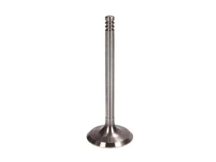 Впускний клапан (36x7x95,5) AUDI 80 B4, SEAT CORDOBA, IBIZA II, INCA, TOLEDO I, FRECCIA 6036/S