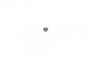 Ремкомпл. супорта (задн) VW Caddy III 04-10 (38mm) (+поршень/направляюча) (Aisin) FRENKIT 738774 (фото 2)