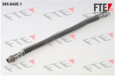 Гальмівний шланг FTE 265.642E.1