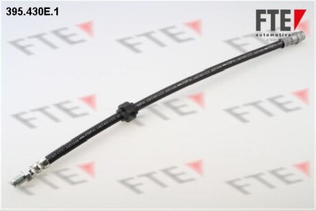 Гальмівний шланг FTE 395430E1