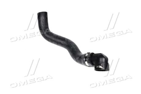 PRZEWD СХОДНИЦЫ УСПЕШНО ЛЕЧАТ ЗАБОЛЕВАНИЯ FIAT STILO 1.9 JTD 01- Gates 05-2734