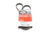 Ремень генератора Renault Clio 1.2/1.4 90-98/Nissan Micra/Note 1.0-1.4 03-12 Gates 4PK1070 (фото 1)