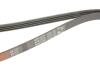 Ремень генератора Renault Clio 1.2/1.4 90-98/Nissan Micra/Note 1.0-1.4 03-12 Gates 4PK1070 (фото 4)