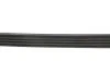 Ремінь поліклиновий VAG/RENAULT/TOYOTA Gates 4PK1240 (фото 4)