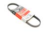 Ремінь поліклиновий FORD FOCUS III 2.0/13- Gates 4PK705SF (фото 1)