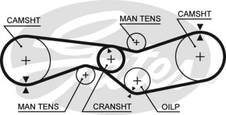 (8595-15012) Ремінь ГРМ Gates 5012