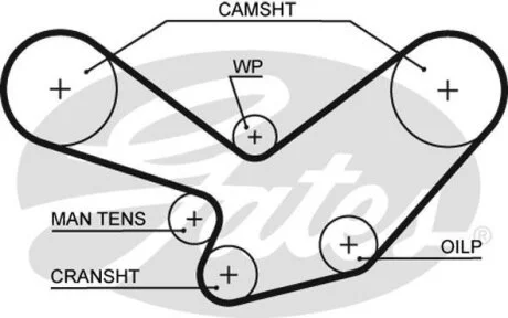 (8595-15096) Ремінь ГРМ Gates 5096