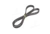 Пасок ГРМ 146z Opel Kadett/Vectra/Ascona/Astra 1.6D/1.7D 81-102 Gates 5129 (фото 2)