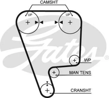 Ремінь зубч. ГРМ Z = 124 РОЗПРОДАЖ Gates 5348XS