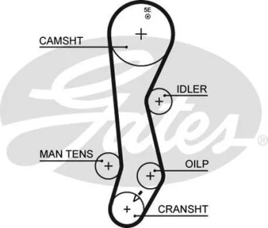(8597-15389) Ремінь ГРМ XS Gates 5389XS