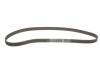 Пасок ГРМ Chevrolet Captiva/Opel Antara/Frontera/Omega B/Sintra 2.2/2.4 16V 95- Gates 5461XS (фото 2)