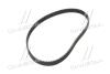 Пасок ГРМ Mazda 323 BA 1.5I 16V 96.10-,323F BJ14 1.5I 16V 98.05- Gates 5512XS (фото 3)