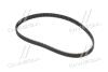 Пасок ГРМ Mazda 323 BA 1.5I 16V 96.10-,323F BJ14 1.5I 16V 98.05- Gates 5512XS (фото 4)