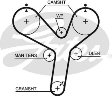 Пас ГРМ з довжиною кола понад 150см, але не більш як 198см Gates 5536XS