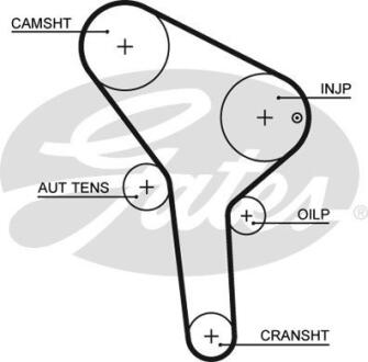 Ремінь ГРМ SEAT AROSA, SKODA FELICIA I, FELICIA II, VW CADDY II, LUPO I, POLO, POLO III 1.7D/1.9D 10.94-07.05 Gates 5564XS