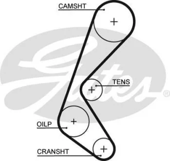 (8597-15628) Ремінь ГРМ XS Gates 5628XS