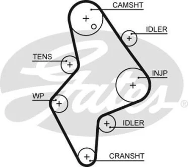 (8597-15658) Ремінь ГРМ XS Gates 5658XS