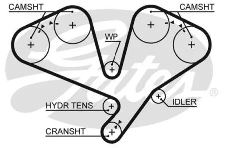 (8597-15659) Ремінь ГРМ XS Gates 5659XS