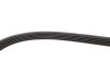 Поликлиновый ремень BMW:E36,E34,E39,E38/Ford:Focus,Kuga/Hyundai:i30 Gates 5PK890 (фото 3)